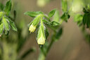 BUITEN BEELD Foto: 435123