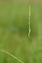 BUITEN BEELD Foto: 435128