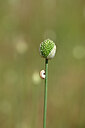 BUITEN BEELD Foto: 435130