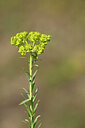 BUITEN BEELD Foto: 435131