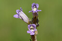 BUITEN BEELD Foto: 435137