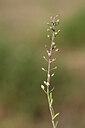 BUITEN BEELD Foto: 435138