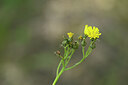 BUITEN BEELD Foto: 435142