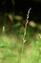 BUITEN BEELD Foto: 435143