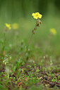 BUITEN BEELD Foto: 435147