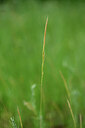BUITEN BEELD Foto: 435148