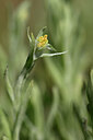 BUITEN BEELD Foto: 435149