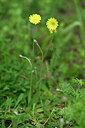 BUITEN BEELD Foto: 435155
