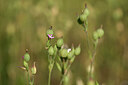BUITEN BEELD Foto: 435157