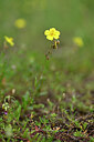 BUITEN BEELD Foto: 435158