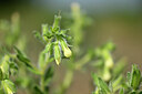 BUITEN BEELD Foto: 435160
