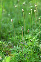 BUITEN BEELD Foto: 435162