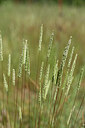BUITEN BEELD Foto: 435167
