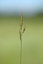 BUITEN BEELD Foto: 435169