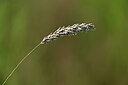BUITEN BEELD Foto: 435170