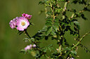 BUITEN BEELD Foto: 435172