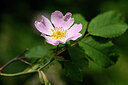 BUITEN BEELD Foto: 435177