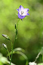 BUITEN BEELD Foto: 435184