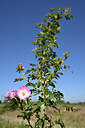 BUITEN BEELD Foto: 435190