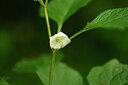 BUITEN BEELD Foto: 435194