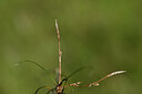 BUITEN BEELD Foto: 435202