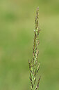 BUITEN BEELD Foto: 435204