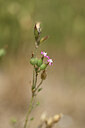 BUITEN BEELD Foto: 435206