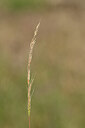 BUITEN BEELD Foto: 435207
