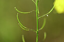 BUITEN BEELD Foto: 435209