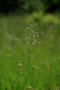 BUITEN BEELD Foto: 435212