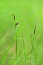 BUITEN BEELD Foto: 435213
