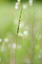BUITEN BEELD Foto: 435214