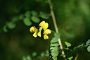 BUITEN BEELD Foto: 435215