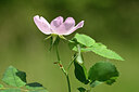 BUITEN BEELD Foto: 435219