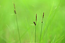 BUITEN BEELD Foto: 435221