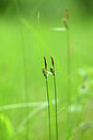 BUITEN BEELD Foto: 435229