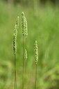 BUITEN BEELD Foto: 435230