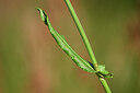 BUITEN BEELD Foto: 435234