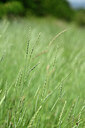 BUITEN BEELD Foto: 435235