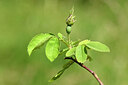 BUITEN BEELD Foto: 435237