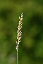 BUITEN BEELD Foto: 435241