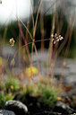 BUITEN BEELD Foto: 435243