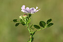 BUITEN BEELD Foto: 435250