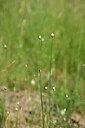 BUITEN BEELD Foto: 435251