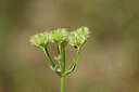 BUITEN BEELD Foto: 435258