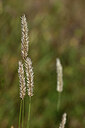 BUITEN BEELD Foto: 435260