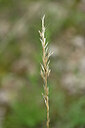 BUITEN BEELD Foto: 435263