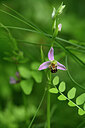 BUITEN BEELD Foto: 435271