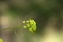 BUITEN BEELD Foto: 435275