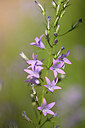 BUITEN BEELD Foto: 435282